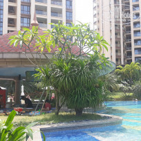 фото из отзыва ID 1933514