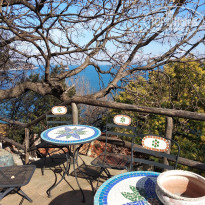 фото из отзыва ID 1933983