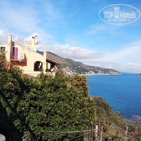 фото из отзыва ID 1933983