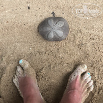 фото из отзыва ID 1934127