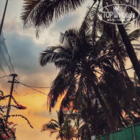 фото из отзыва ID 1934167