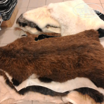 фото из отзыва ID 1934182