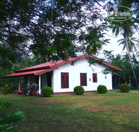 New photos from tourists Rajawatta Villa