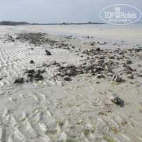 фото из отзыва ID 1934276