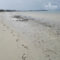 фото из отзыва ID 1934276