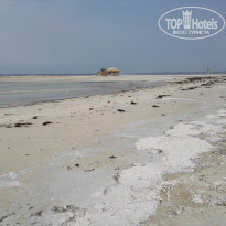 фото из отзыва ID 1934276