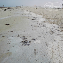 фото из отзыва ID 1934276