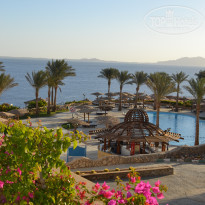 фото из отзыва ID 1934329