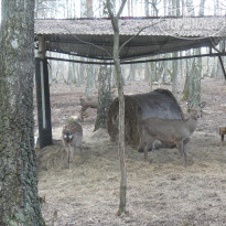 фото из отзыва ID 1934326