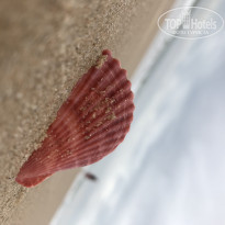 фото из отзыва ID 1934311