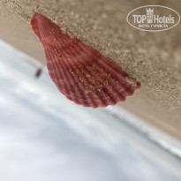 фото из отзыва ID 1934311