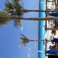 фото из отзыва ID 1934385