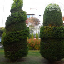 фото из отзыва ID 1934395