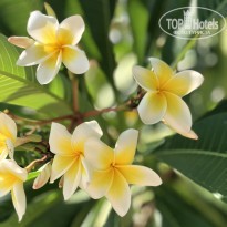 фото из отзыва ID 1934403