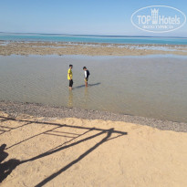 фото из отзыва ID 1934534