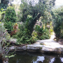 фото из отзыва ID 1934666