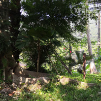 фото из отзыва ID 1934674