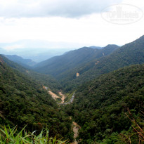 фото из отзыва ID 1934791