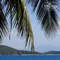 фото из отзыва ID 1934791