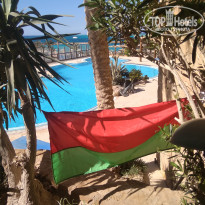 фото из отзыва ID 1932155