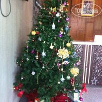 фото из отзыва ID 1934940