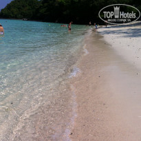 фото из отзыва ID 1934940