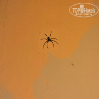 фото из отзыва ID 1935001