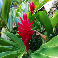 фото из отзыва ID 1935001