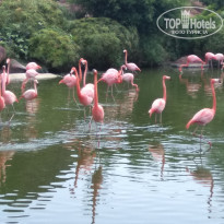 фото из отзыва ID 1935108