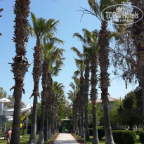 фото из отзыва ID 1935170