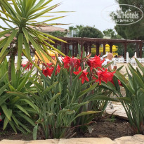 фото из отзыва ID 1935170