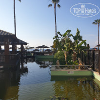 фото из отзыва ID 1935198