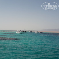 фото из отзыва ID 1935245