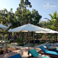 фото из отзыва ID 1935323