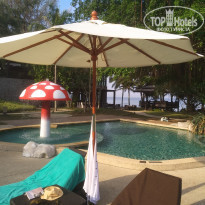 фото из отзыва ID 1935323