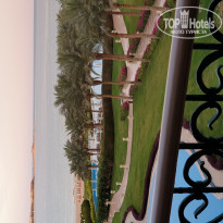 фото из отзыва ID 1935368