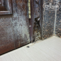 фото из отзыва ID 1935364