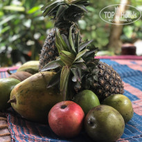 фото из отзыва ID 1935421