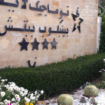 фото из отзыва ID 1935145