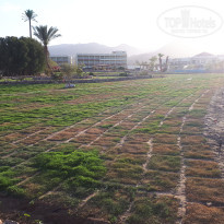 фото из отзыва ID 1935429