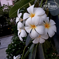 фото из отзыва ID 1935477