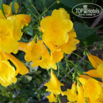 фото из отзыва ID 1935477