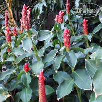 фото из отзыва ID 1935477