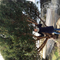 фото из отзыва ID 1934336