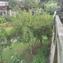 фото из отзыва ID 1935679