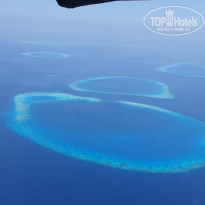 фото из отзыва ID 1935744