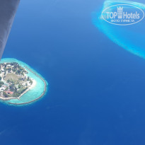 фото из отзыва ID 1935744