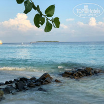 фото из отзыва ID 1935744