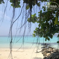 фото из отзыва ID 1935744