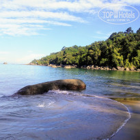 фото из отзыва ID 1935838